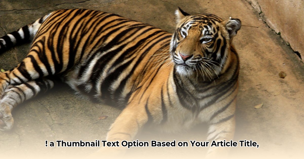 tiger-21-minimum-net-worth